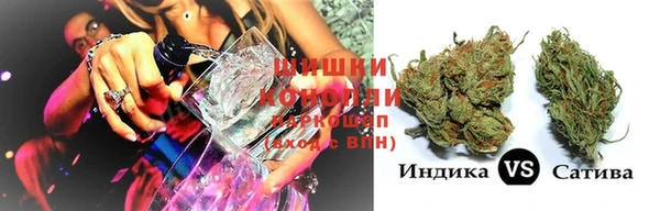 PSILOCYBIN Каменногорск