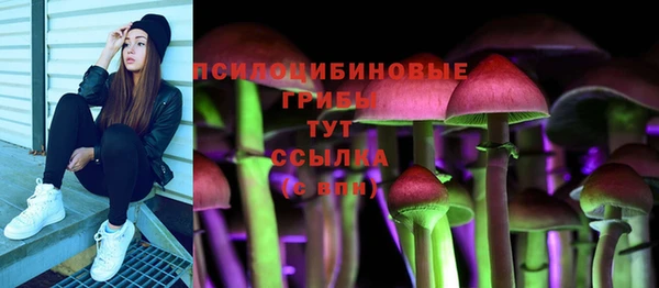 PSILOCYBIN Каменногорск