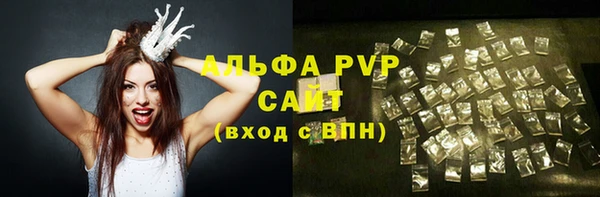 PSILOCYBIN Каменка