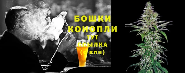 PSILOCYBIN Каменногорск