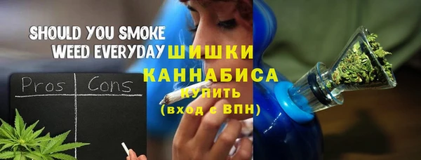 PSILOCYBIN Каменка
