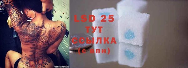 PSILOCYBIN Каменногорск