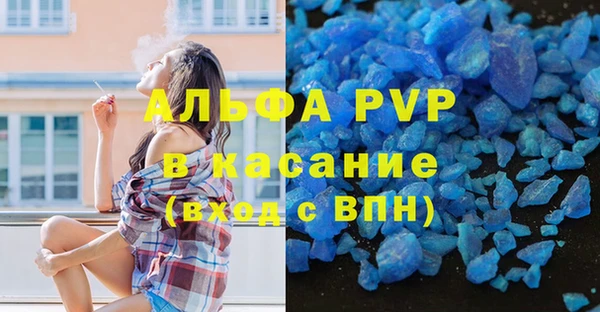 PSILOCYBIN Каменка