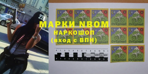 PSILOCYBIN Каменногорск