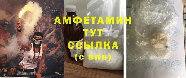 PSILOCYBIN Каменногорск