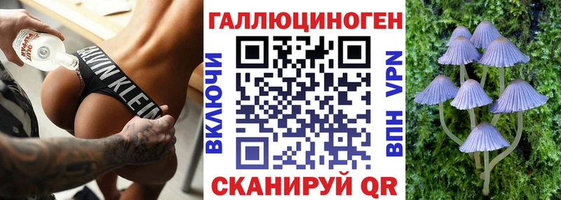 Псилоцибиновые грибы Magic Shrooms  Купить где  Севск 